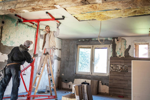 Best Professional Insulation Contractor  in Castle Hills, TX