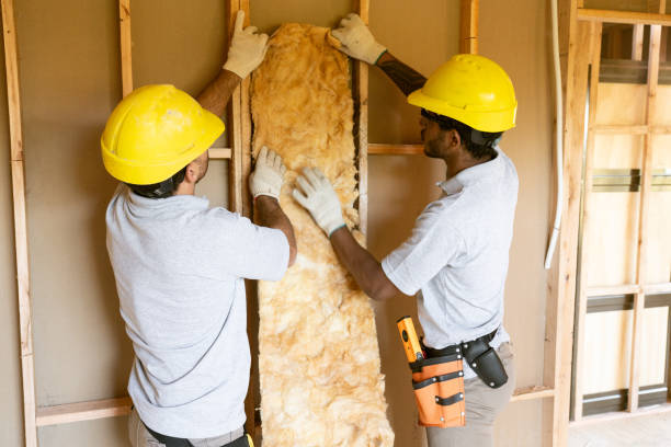 Insulation for Commercial Buildings in Castle Hills, TX